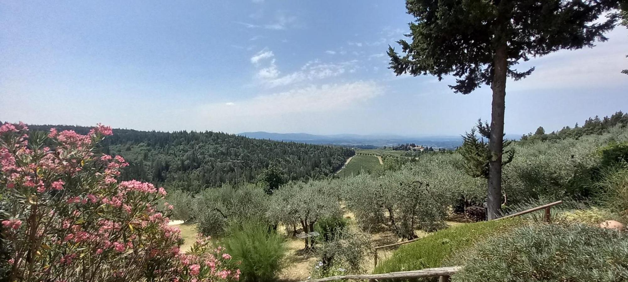 Borgo Nel Chianti Istrice Con Piscina Tennis E Wifi Castellina in Chianti Exteriér fotografie