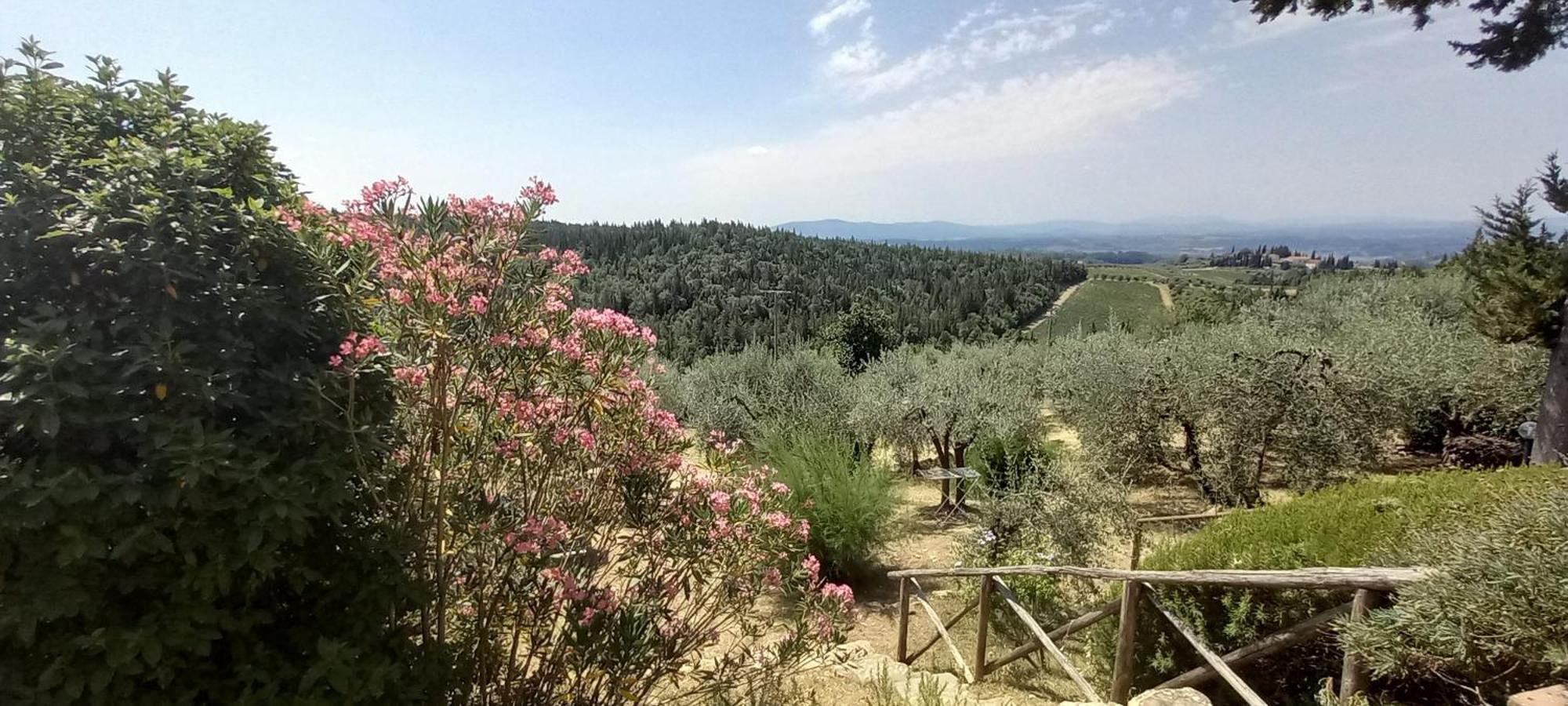 Borgo Nel Chianti Istrice Con Piscina Tennis E Wifi Castellina in Chianti Exteriér fotografie